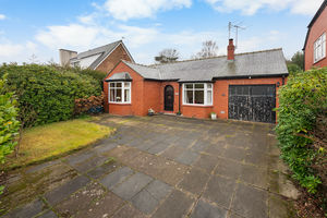 Photo 50- click for photo gallery